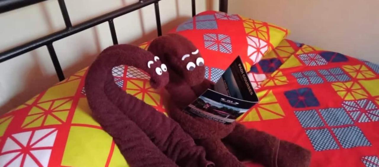 Casita El Sonido De Las Aves Увіта Екстер'єр фото